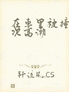 在车里被撞了八次高潮