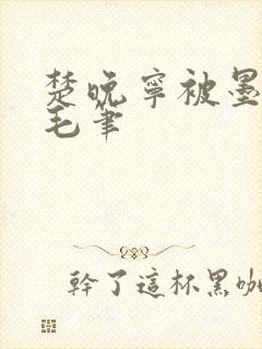 楚晚宁被墨燃塞毛笔