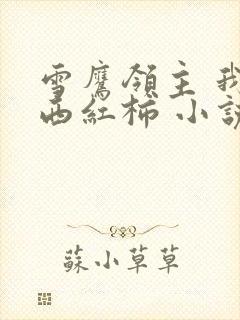 雪鹰领主 我吃西红柿 小说