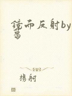 镜面反射by九葛