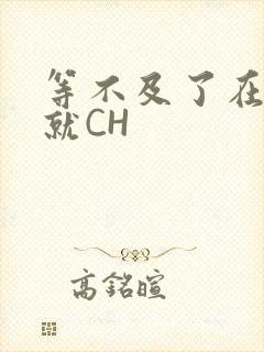 等不及了在车里就CH