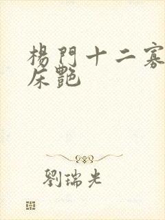 杨门十二寡妇肉床艳