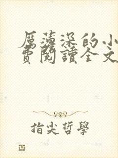 厉薄深的小说免费阅读全文