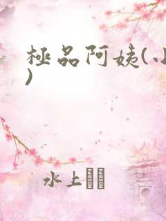 极品阿姨(小说)
