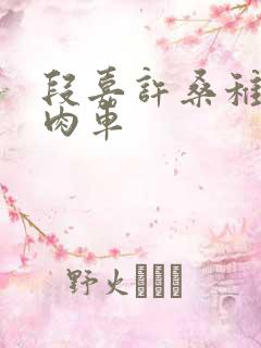 段嘉许桑稚浴室肉车