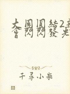 大团圆结2亲情会闪闪发光亲情会2