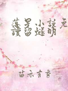 落星小说免费阅读留燧明