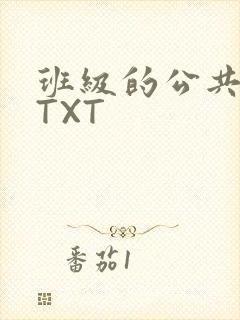 班级的公共玩具TXT
