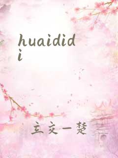 huaididi