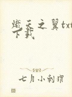 炽天之翼txt下载