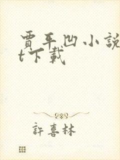 贾平凹小说txt下载