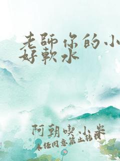 老师你的小兔子好软水