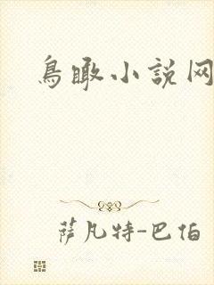 鸟瞰小说网