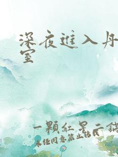 深夜进入丹丹卧室