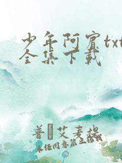 少年阿宾txt全集下载