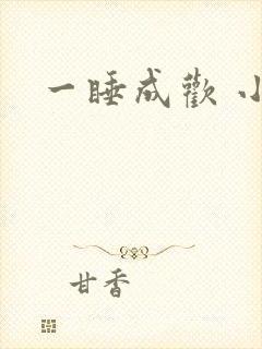 一睡成欢 小说