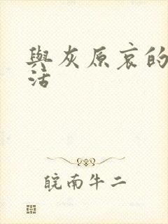 与灰原哀的h生活