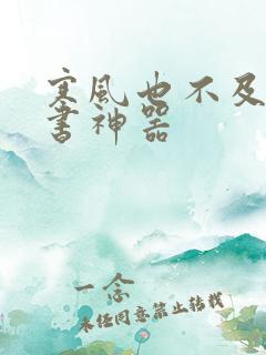 寒风也不及她追书神器