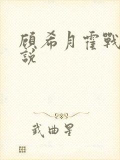 顾希月霍战霆小说