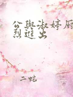 公与淑婷厨房猛烈进出