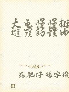 大龟慢慢挺进王进霞的体内