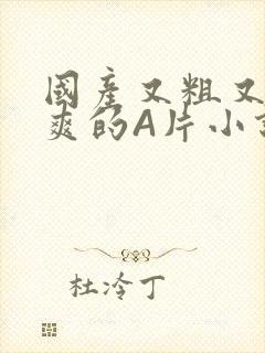 国产又粗又黄又爽的A片小说