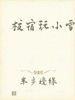 校宿玩小雪