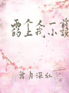 两个人一前一后的上我小说