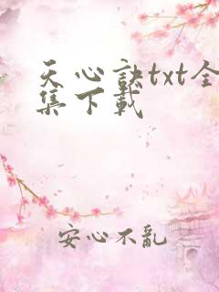 天心诀txt全集下载
