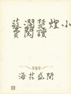 苏澜楚煜小说免费阅读