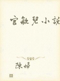 官敏儿小说集