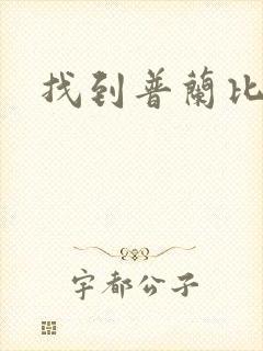 找到普兰比尔德