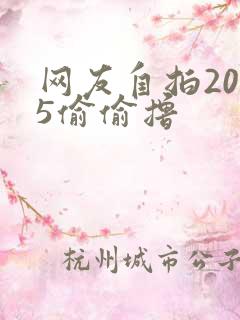 网友自拍2015偷偷撸