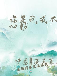你是我戒不掉的心动