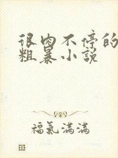 很肉不停的做很粗暴小说