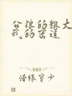 公狼的粗大挺进我的密道