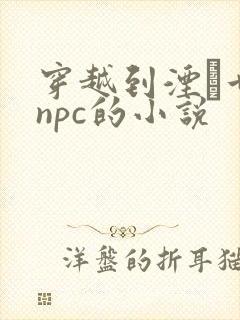 穿越到湮婸世界npc的小说