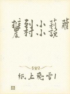 推到小莉萝稚嫩农村小说