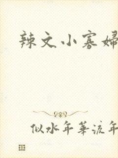 辣文小寡妇
