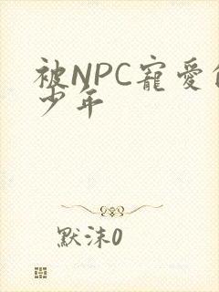 被NPC宠爱的少年