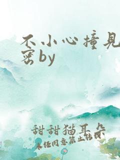 不小心撞见的秘密by