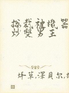 总裁被机器人爆炒双男主