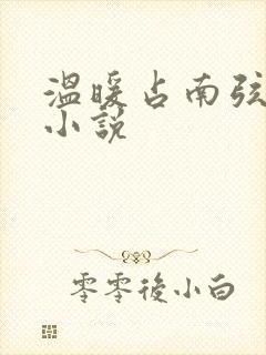 温暖占南弦尹衿小说