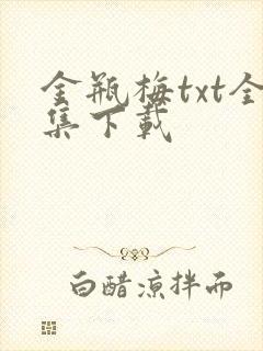 金瓶梅txt全集下载