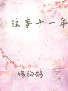 往事十一年