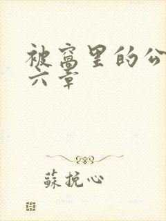 被窝里的公息十六章