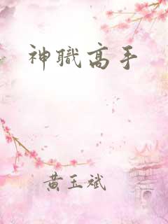 神职高手