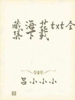 藏海花txt全集下载