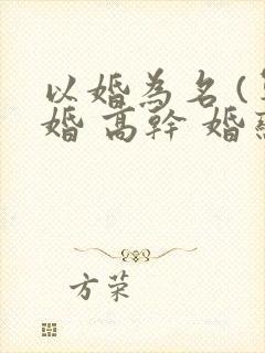 以婚为名 (军婚 高干 婚恋)