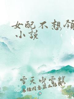 女配不想领便当 小说